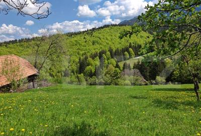 Teren de 3400 mp, în Bran - 8