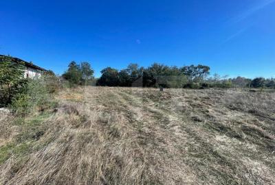 Teren Intravilan de vanzare, 900mp, Turcinesti - 2