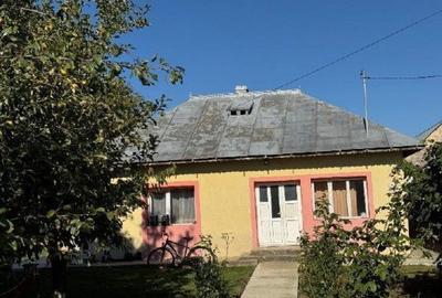 Casă cu 3 camere cu Teren 2000 Mp în Talpa - 6