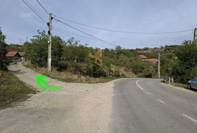 Comision 0. Teren intravilan in Cojocna! - 11