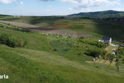 Teren de 2307 mp, în Ciurila - 3