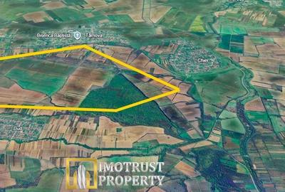 Teren agricol extravilan de 3.7799999713898 mp, în Târnova - 2