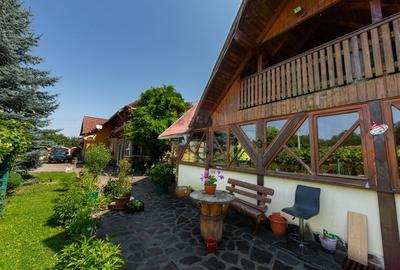 Casă spațioasă cu garaj dublu, foișor și curte amenajată - 1