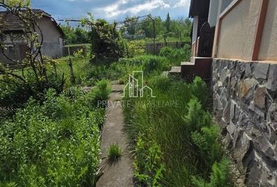 Casă individuală cu 3 camere cu Canalizare în Voiniceni - 22