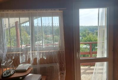 PROPRIETATE SUPERBA IN BIBIRESTI - 10