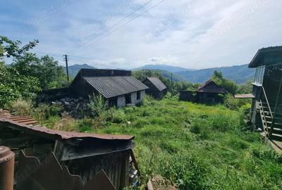 Casă cu 2 camere în Bănița - 5