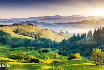 Spațiu comercial, în Paniova - 1