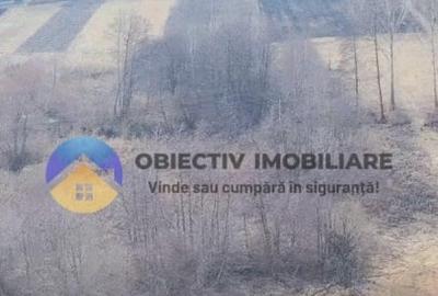 Teren Construcții intravilan de 10515 mp, în Bodești - 13
