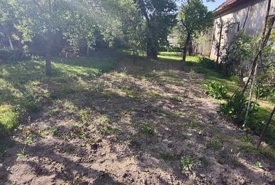 Casă individuală cu 4 camere cu Teren 804 Mp în Central - 3