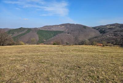 Spațiu comercial, în Damiș - 3