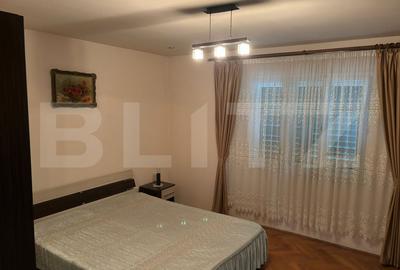 Casa spatioasa de vanzare in Rasinari, Sibiu - 4 camere, pivnita, demisol, curte - 8