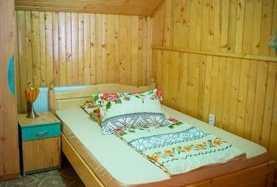 Statiunea turistica Leresti, Judetul Arges - 10