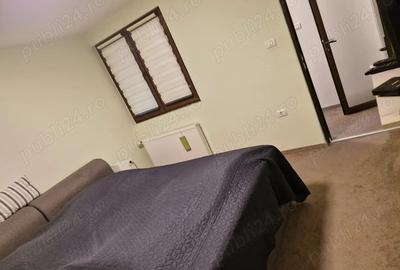 2 Case cu 7 camere, 2 bucatarii si 3 bai, intr-o curte cartierul Gradiste - 10