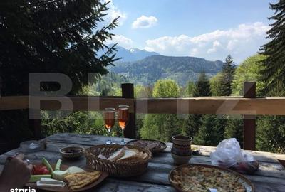 Casă cu 2 camere cu Teren 20000 Mp în Predeal - 2