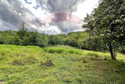 Teren Breaza 5,052 mp Podu Vadului, str. 23 August - 2