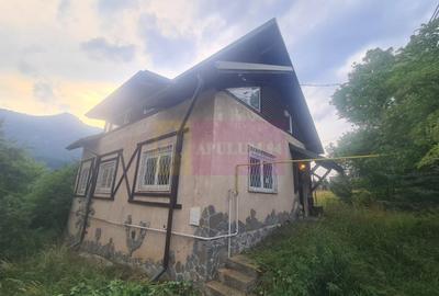 Casă individuală cu 5 camere cu Teren 251 Mp în Piatra Arsă