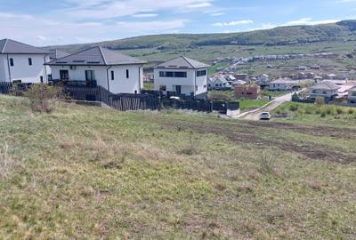 Spațiu comercial, în Chinteni - 2