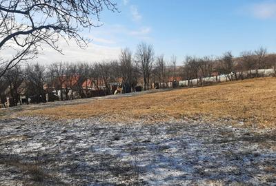 Teren Construcții intravilan de 2589 mp, în Rediu - 6