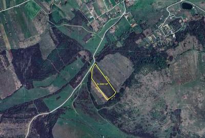 Teren de 24421 mp, în Uileacu de Munte - 2