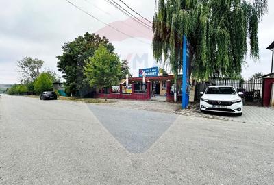 Spațiu comercial, de 400 mp, în Vlad Țepeș - 20