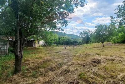 Teren Intravilan de vanzare 3551mp Poiana Copaceni Com Gura Vitioarei - 25