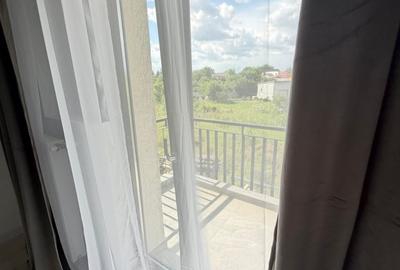 Apartament cu 3 camere decomandat, mobilat în Rahova - 10