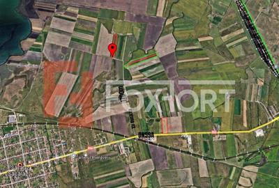 COMISION 0% Teren extravilan agricol, Sacalaz - 20.000 mp - 2