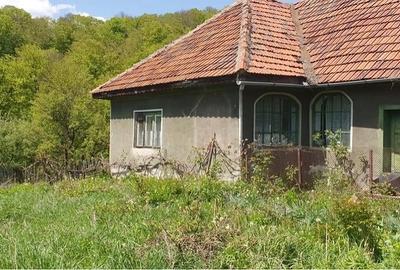 Casă cu 3 camere cu Teren 20000 Mp în Central - 2