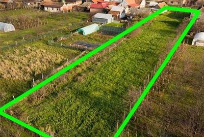 RECO Teren Unicat Sosea Nojorid - 8