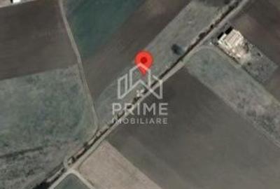 Spațiu comercial, în Partoș