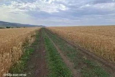 Teren Extravilan Pribesti, ID: R2774827 - 1