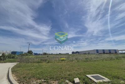 Teren Construcții intravilan de 30994 mp, în Bolintin-Deal - 4