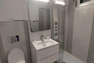 Apartament cu 3 camere în Bălcescu - 7