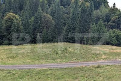 Teren intravilan de vanzare in Colibi?a oportunitate - 5