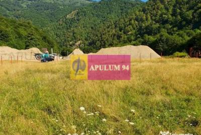 Teren de 744 mp, în Brezoi - 8