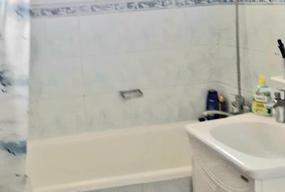 Lacul  Tei cu vedere superba   la lac - 8