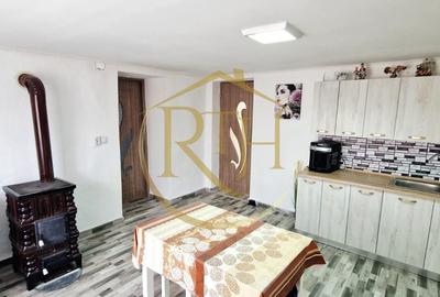 Casă individuală cu 3 camere cu Canalizare în Cărpiniș - 7