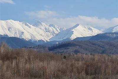 Teren intravilan 2500mp  pe Valea Avrigului,optim casa de vacanta - 7