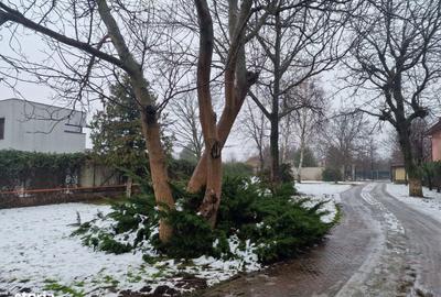 Spațiu comercial, în Central - 5