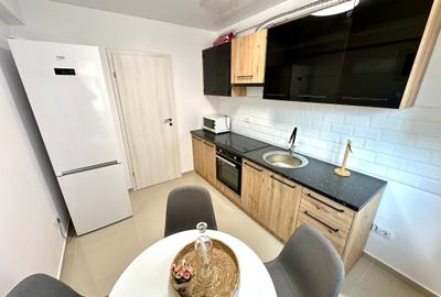 Apartament 2 camere D Mobilat Parcare Boxa Bucium Visan - 13