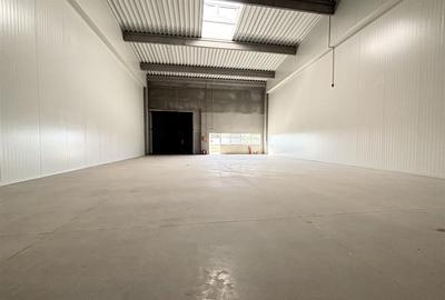 Spațiu industrial, de 255 mp, în Vest - 14