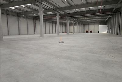Spatii Industriale - 5000 mp - Logistica - Productie - Depozitare - 1