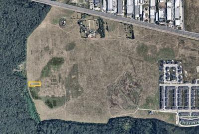 Teren Voluntari Padurea Baneasa Teren Voluntari Padurea Baneasa - 4