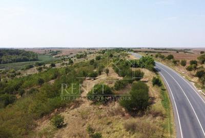 Teren de 2500 mp, în Naipu - 8