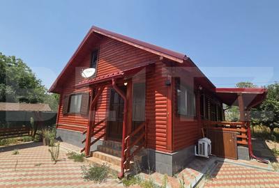 Casa de vacanca cu potential turistic, 1603 mp teren, Cernatesti - 14