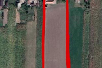 Casă cu 3 camere în Tămășeu - 6