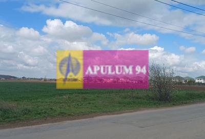 Săbăreni, teren intravilan 1000 mp, cu utilitati în apropiere - 3