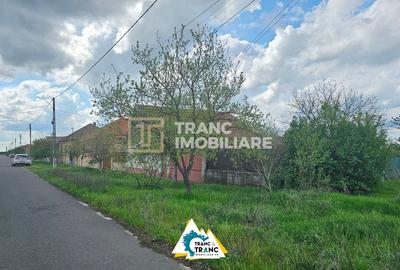 Casă cu 2 camere cu Teren 3890 Mp în Iratoșu - 3