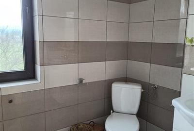 Oportunitate! Casa deosebita cu 2980 mp teren in Vulcan, Brasov - 41