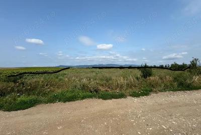 Parcele de 500 mp de vanzare in Halchiu Zona in plina dezvoltare! - 2